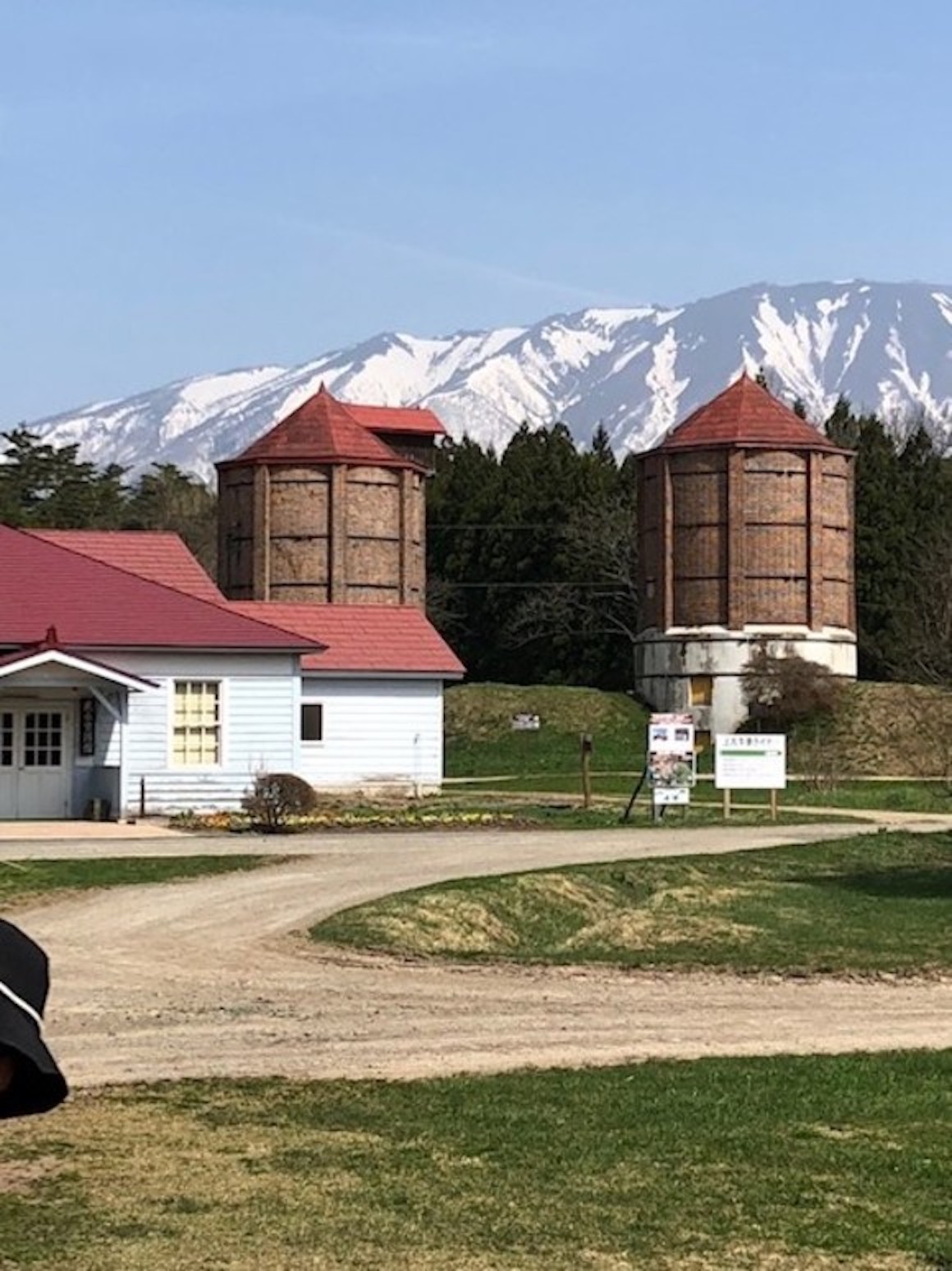 小岩井農場